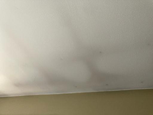 Thermal tracking stains on ceiling (C) InspectApedia.com