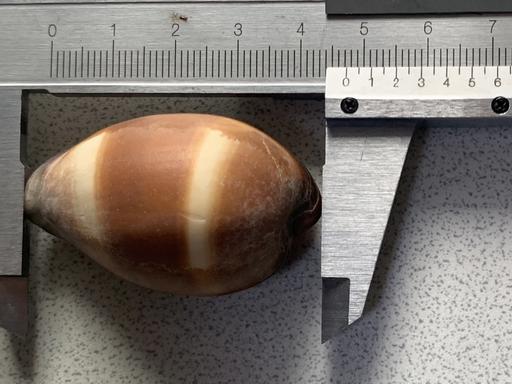 でっかいものクラブ - てれさの雑記