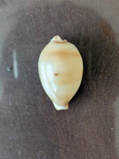 でっかいものクラブ - てれさの雑記