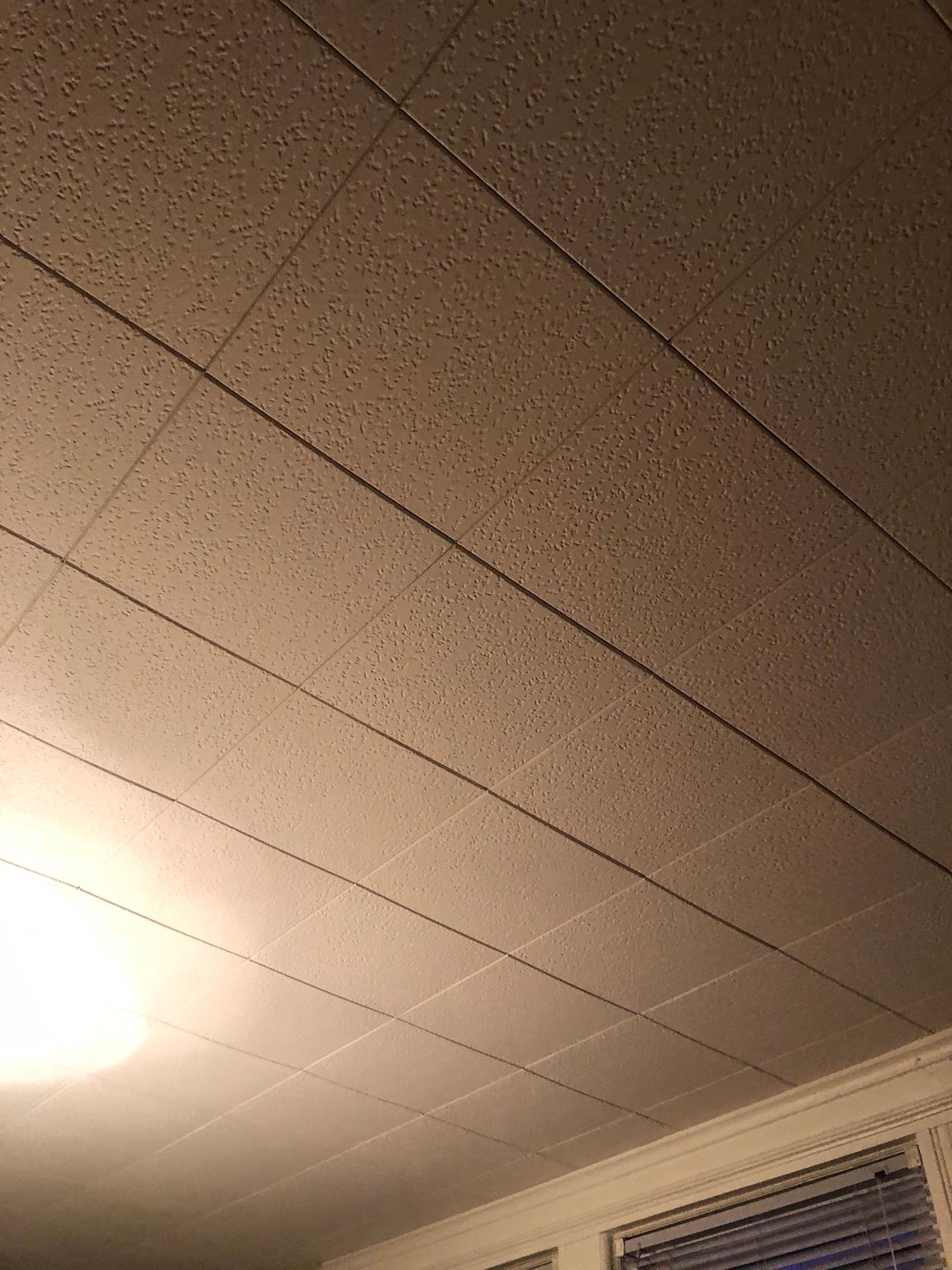 Identify Asbestos Ceiling Tiles