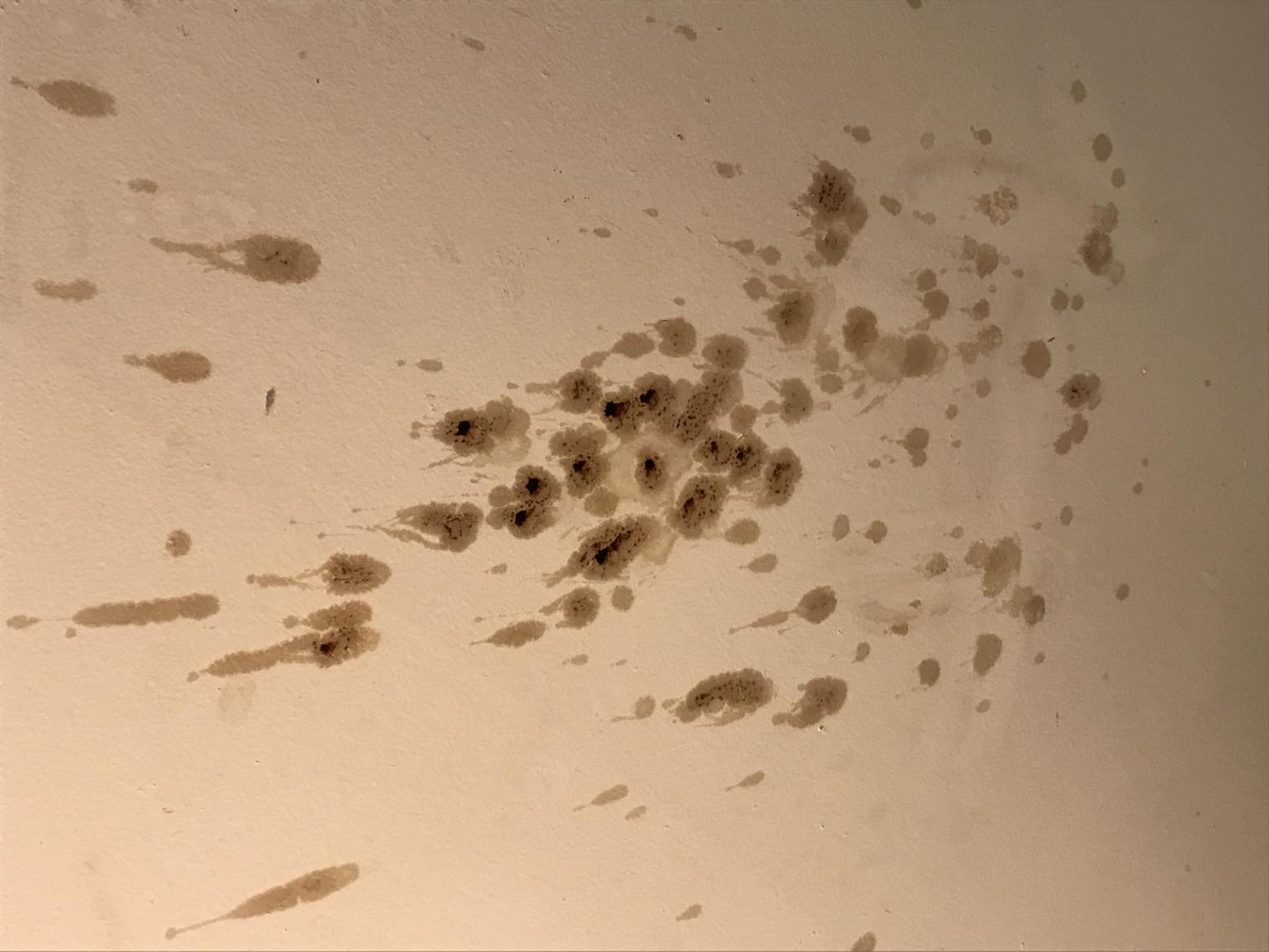 Small Brown Patch On Ceiling Shelly Lighting