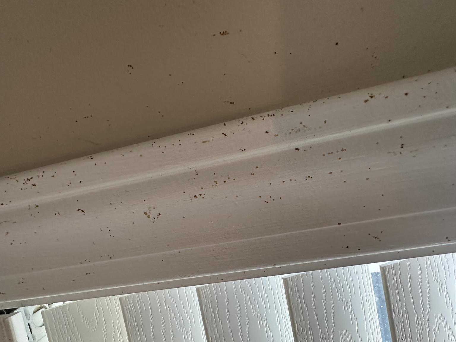 Occupant Stains & Smudges in Buildings